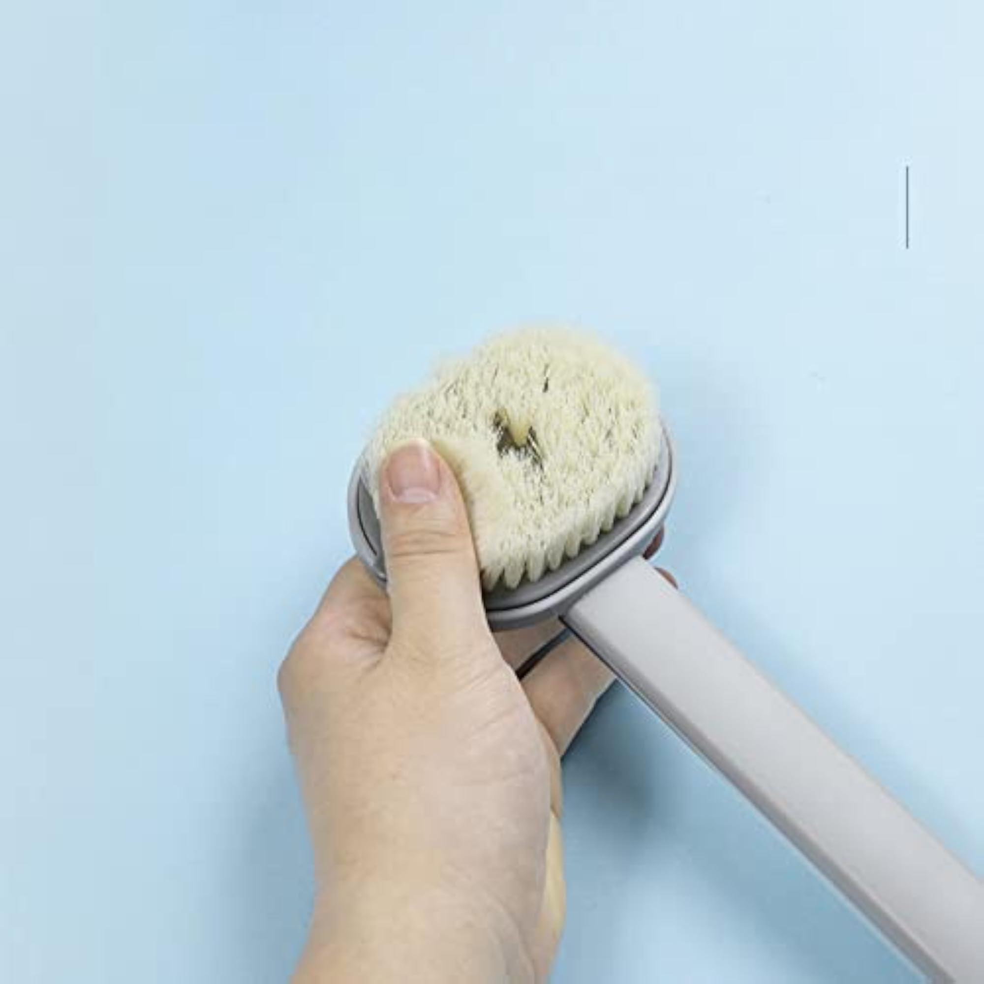 Long Handle Brush with Shower Gel Container, 2Pcs