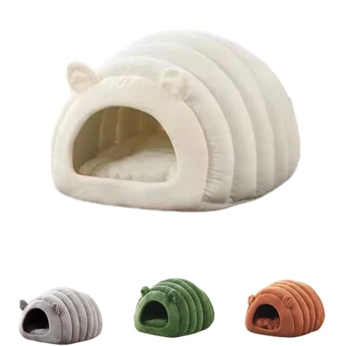 LumoLightLxbh h[^ LnEX 􂦂 ӂӂ NbV ybgxbh  lR ^ ΍ ۉh  V[v` K _炩 xe Q ybgpi (M,zCg)