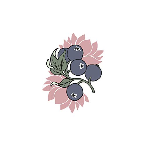 Mexx Forever Classic Never Boring Body Splash, fluchtig-floraler Duft für Sie, 250 ml - Image 4