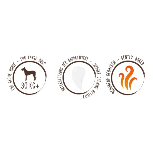 Sammy´s Müslitaler | Knusprig gebackene Hundesnacks |5-Korn-Müslitaler für Deine große Fellnase (ab 30 kg) | 5 kg