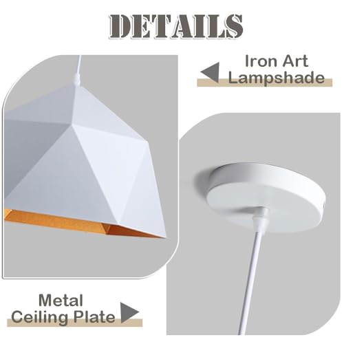 Luminaria decorativa de hierro E26 con acabado industrial premium 7