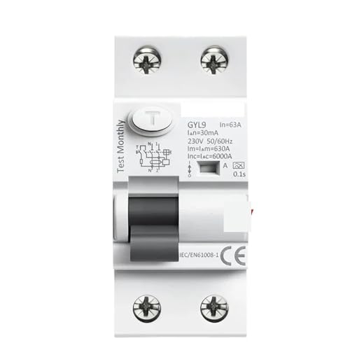 ^Cv A RCD dcdT[Lbgu[J AC ELCB 2  40A 63A 30mA 100mA 300mA RCCB 1 (100mA,2P 40A)