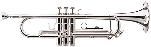 Include custodia leggera e bocchino
