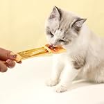 Arvintas 3PCS Cat Strip Feeder Spoon, Sliding Pet Treat Spoon Squeeze, Easy Feeding Pet Spoon for Puree and Bisque Delectables Lickable Wet Cat Treat - Image 5