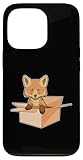 Fuchs Karton