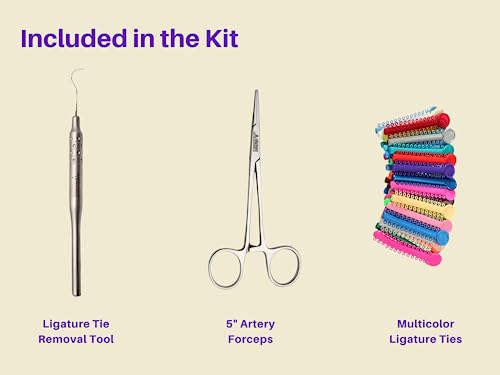 ARTMAN INSTRUMENTS Dental Braces Color Changing Kit, Orthodontic Ties Changing kit, Change The Color of Your Braces Yourself in Minutes Ligas para Brackets Ortodoncia