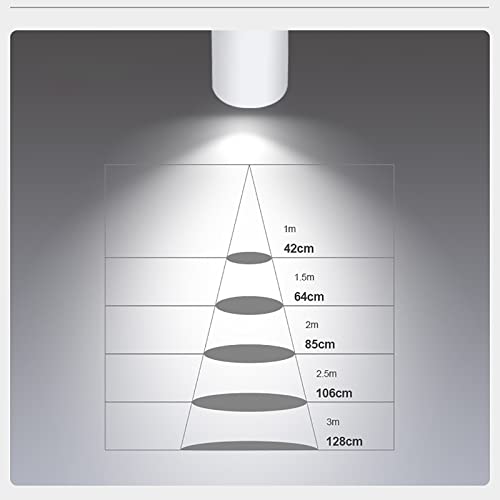 Spot LED COB 30W CRI85+ à intensité variable, éclairage architectural noir 24°
