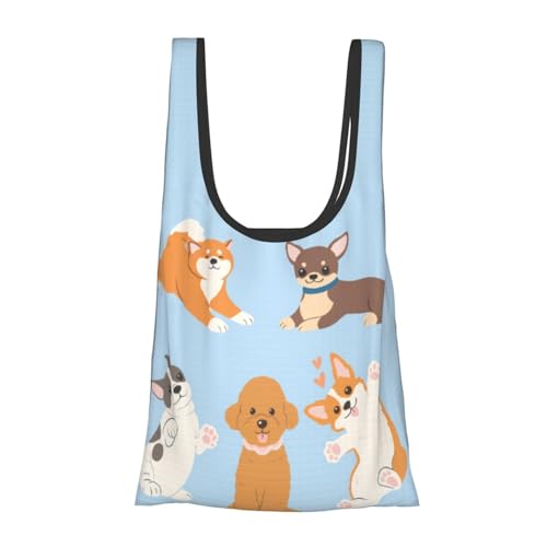 [Qinqincai] Č    h GRobO VbsOobO e ܂肽 RpNg W  y |PbgTCY Rrj Aj ObY LN^[