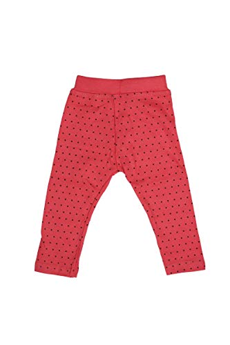 Image of Girl Leggings /Track Pant /Lower /Sleepwear for Girl