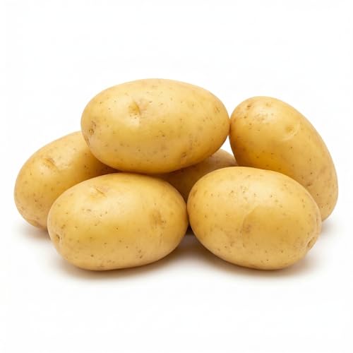 Votanikis Yukon Gold Seed Potatoes for Planting Vegetable Seeds Golden Flesh Early Harvest Garden Tubers High Yield Home Gardening Full Sun Grow Zones 3-9 (Pack of 5)
