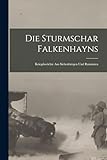 Die Sturmschar Falkenhayns: Kriegsberichte Aus Siebenbürgen Und Rumänien - Anonymous 