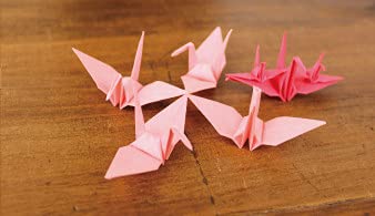 Product Of Gifu Japan Japanese Mino Washi Toraditional Washi Paper, 5.9 In 10 Color Origami Paper, Each 10 / Total 100 Sheets Type 1 For Crafts Decoration Art Supplies Kids #TOP3