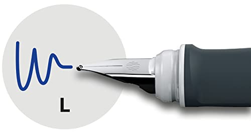 Schneider 168403, penna stilografica Ray, per