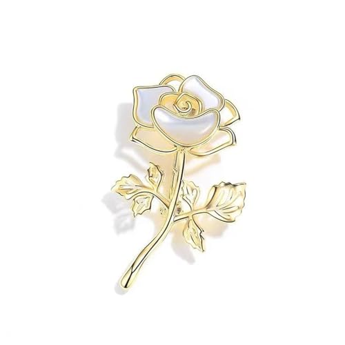 ̃fB[Xu[`ART[WANZT[ART[WAVvȃ[YfUĆADȑƎAwAAʐڃp[eB[bNiMtgZbgjɂ҂