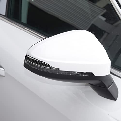 Adunsiaoto 2 Stück Türkantenschutz für Autotüren Kantenschutz Autotür für Rückspiegel, Carbon-Faser Muster Rückspiegel Streifen Abdeckung, Auto Universal(11.3x1.45cm)