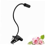 Veemoon LED Arbeitslicht Schreibtischbeleuchtung Tischklemme Licht Lesen Sie Licht für das Bett...