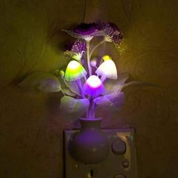 「Light Mellow Moonlight」 moon-light.jpg