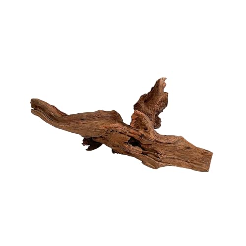 WabiFlur - Natürliches Drift Holz für Aquarium Nano Garden und Terrarien - Schafft einen Wilden und einzigartigen Ambinete, Größe Medium Einzelstück 15-20 cm