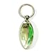 Ed Speldy East Company FIK103 Real Bug Green Skirt Tropical Fish Key Chain - Clear, Oval