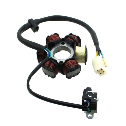 Stator Zongshen 2v 190cc pour réparer le démarrage de votre dirt bike