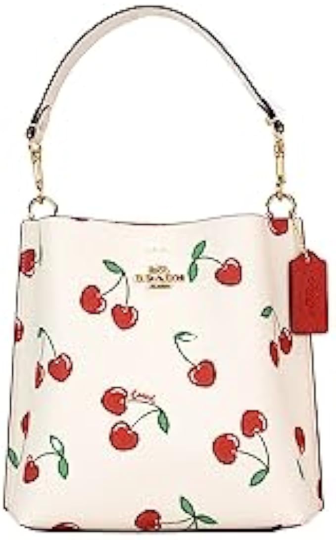 Coach Women's Mollie Bucket Bag 22 Crossbody Shoulder