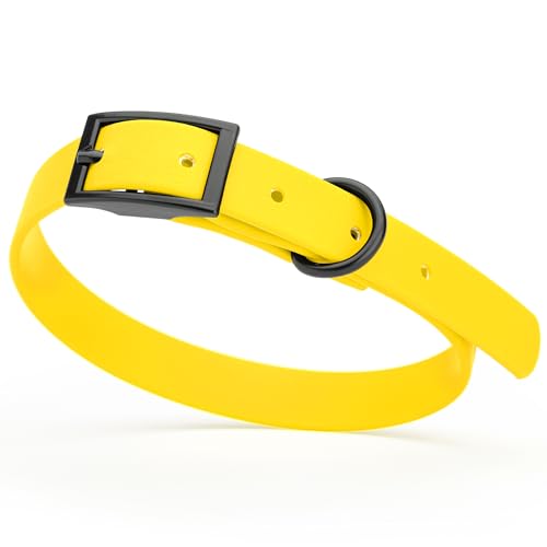 Image of Dogline Biothane Waterproof Dog Collar Strong Coated Nylon Webbing with Black Hardware Odor- Proof for Easy Care Easy to Clean High Performance Fits Small Medium or Large Dogs, Lemon Yellow