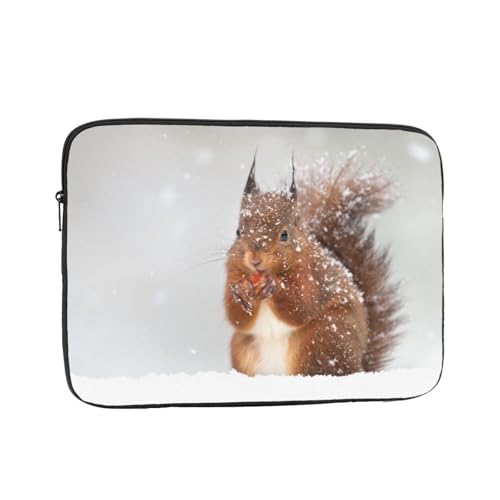 p\RP[X X[u m[gp\Rp̃obO ꂽᒆ̂킢X ϏՌH m[gp\R P[X ʋ ʊw s o m[gpc P[X rWlX  yʃp\RobO 12 Inch