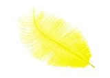 Ostrich Feather Plumes 12' - 14' Long (1 Piece, Yellow)