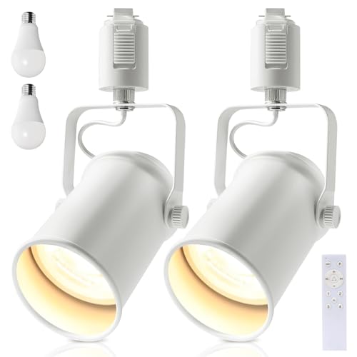 Aiwode レールライト ダクトレール用スポットライト E26口金 角度調節可能 調光調色 リモコン対応 ロック機構により脱落を防止 簡単なインストール 高級 和風 目に優しい 節電 省スペース設計 寝室 高級レストラン 書斎 廊下 植物の照明に適しています 白 2個入り