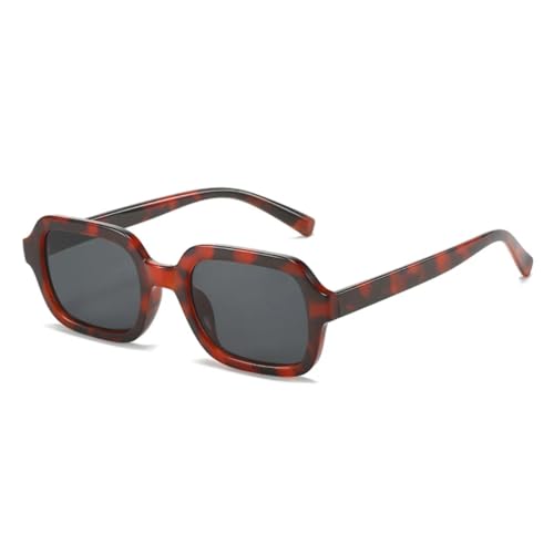 Lunettes de soleil léopard pour femmes et hommes avec verres dégradés anti-UV