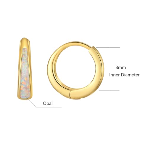 Silver & Gold Earrings for Women Trendy Opal Huggie Earrings Small Gold Hoop Earring 14k Gold Plated Opal Jewelry Birthday Gifts for Women Mom Her2