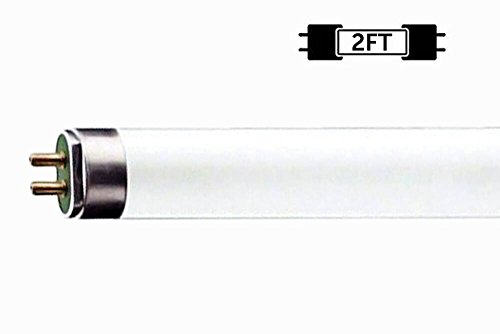 Circle (6 Pack F17T8/865 17W 24 Inch T8 Fluorescent Tube Light Bulb, 6500K Daylight White, Medium Bi-Pin (G13) Base, 17 Watt T8 Light Bulbs