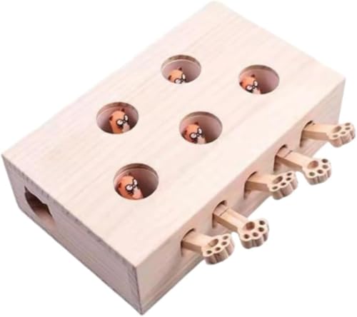 Zeruho Lpm烂O@ Sؔ ?qL炵 LVсELp m\P ϝS gȒP ybgCeAObY