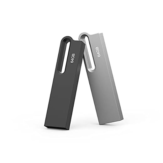Aiibe 64GB Flash Drive 2 Pack Metal USB Drive Thumb Drive 64 GB USB 2.0 Memory Stick Waterproof USB Flash Drive Portable Jump Drive Zip Drives with Keychain (64G, 2 Colors: Black Silver)