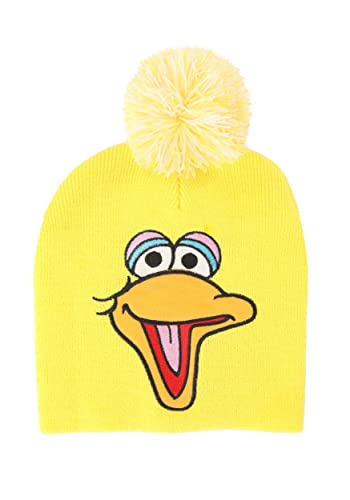 Big Bird Pom Winter Hat3
