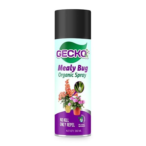 Gecko Mealy Bug Repellent Spray 200 ML | Removes mealy bugs and fungus from plants | 100% Herbal Actives & No Chemicals | Gentle on plants and promotes plant growth - FORMULATION 30 X