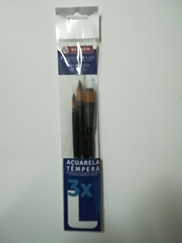 2 pinceles redondos +1 plano