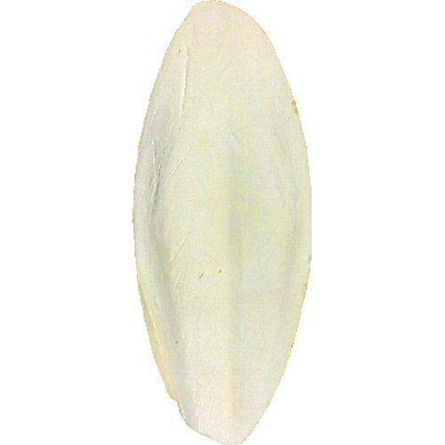 Other 2 Pcs Cuttlefish Bone for Small Birds