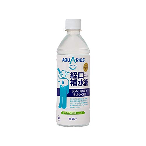 RJR[ ANGAX o␅t 500mlybg{g×24{×i2P[Xj