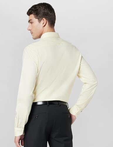 Image of Arrow Men's Cotton Striped Slim Fit Shirt
