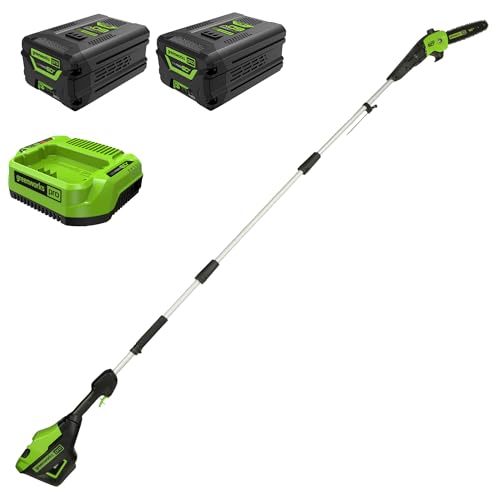 Image of Greenworks 60V 10 inch Brushless Cordless Pole Saw, 2.0Ah Battery, Charger + Bonus 4.0Ah Battery