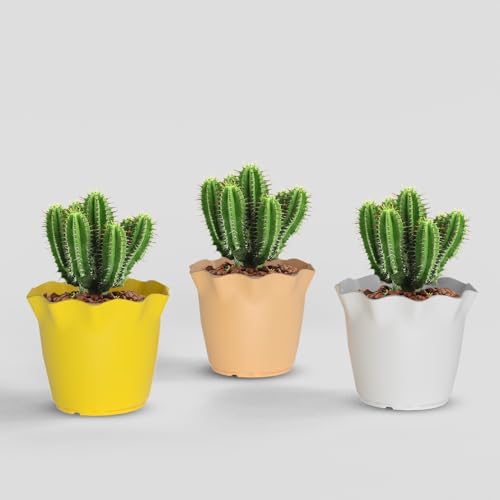 Image of YUCCABE ITALIA SHERA 6 Inch Plastic Flower Pot 3 Piece Set of Unbreakable Round Shape Planter for Home Garden Seedling, Indoor and Outdoor (Multicolor)