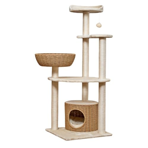 ؐLbg^[yVR؎gpz^  ^Lp  ҂݃P[W CeA W]t ^Lp ȃ[v Bꏊ 芴 ^s ē~p (؂̐F,017)