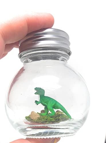1 Inch Pet T-Rex In Glass Round Jar Green With Adoption Certificate #TOP4