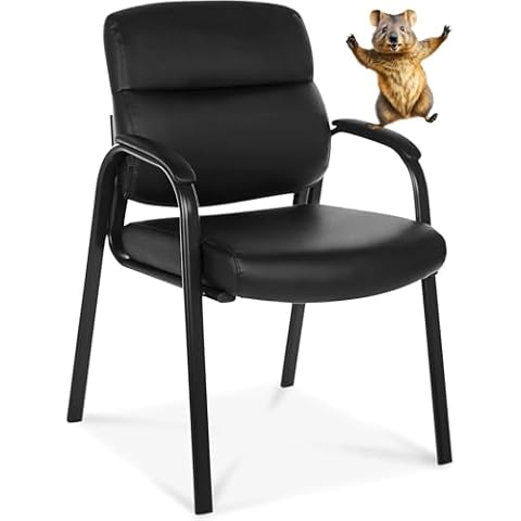 Oline Leather Guest Chair Cover
