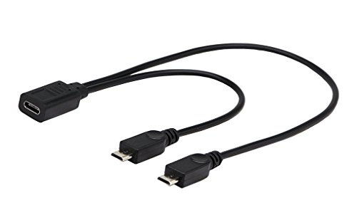 zdyCGTime(30cm) Micro USB 2.0 to USB C Cable, USB Type C Female to 2 Micro USB Male Extension Cable Simultaneously Data Sync and Charging Cable for Phones、Computers、Tablets (2 Micro USB)