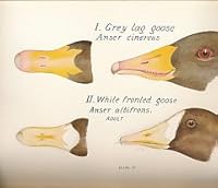 Field Observations On British Birds B002AGLM2C Book Cover