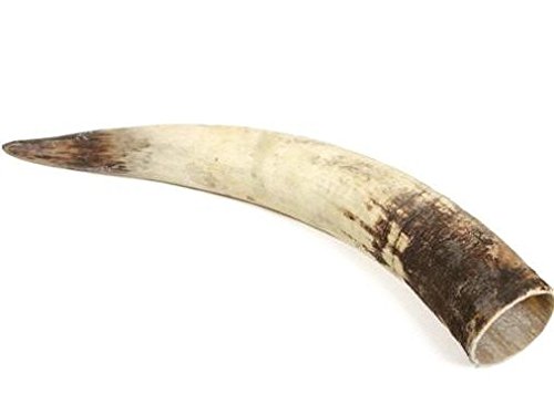 NaDeco Rinderhorn natur 50-59cm Kuhhorn Stierhorn Watussi Horn Rinder Horn  Tierhorn : Amazon.de: Musikinstrumente & DJ-Equipment