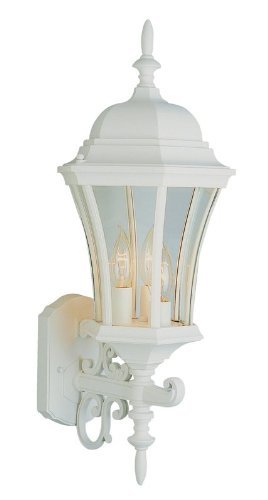 Trans Globe Lighting TG4503 WH Traditional One Hanging Lantern from Edition Collection in Black Finish Lighting Accessory