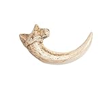 Fossilized Teeth and Claws of Various Prehistoric Dinosaurs, Megalodon Giant Shark,Smilodon Fossils Replica for Scientific Educational,Collection and Decoration (Vulture Claw)